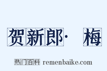 贺新郎·梅是什么意思的图片